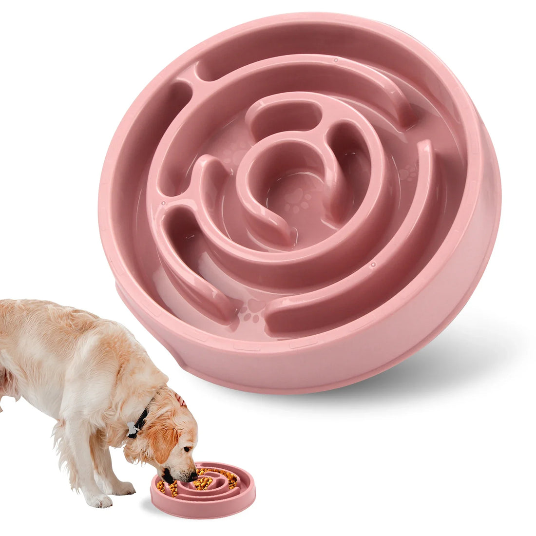 Gamelle Anti-Glouton pour Chien : Conseillée par les Vétérinaires