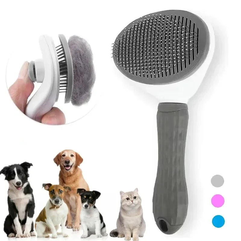 Brosse Anti-Poils pour Chat et Chien : Fini les Poils Partout (Guide 2026)