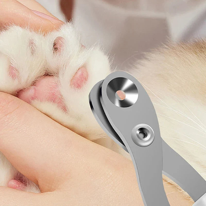 Coupe-griffes PawClip en gros plan sur le système circulaire de coupe