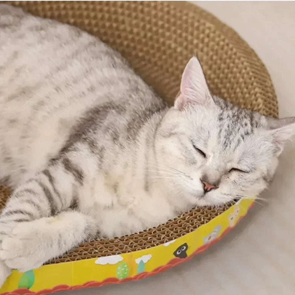 Griffoir compact pour chat Pawtiko - carton ondulé résistant