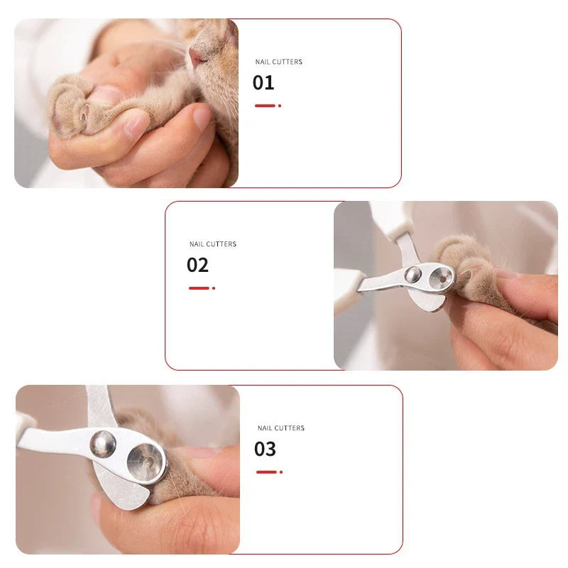 Utilisation du coupe-griffes PawClip sur la patte d'un chat