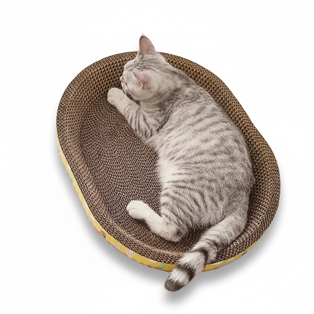 Griffoir compact pour chat Pawtiko - vue principale