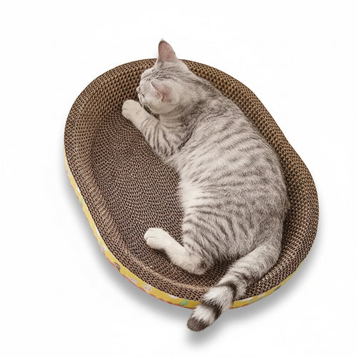 Griffoir compact pour chat Pawtiko - vue principale