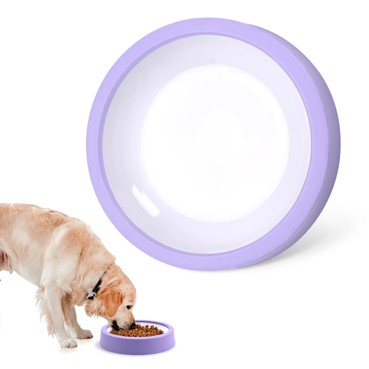 Gamelle anti-glouton pour chien Pawtiko - vue de dessus